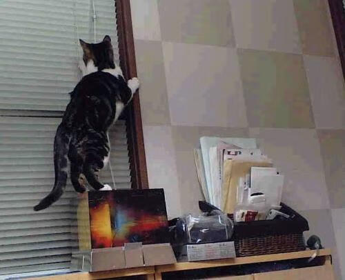 季后赛为何节奏明显下降,季后赛结束后是什么比赛