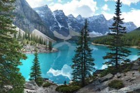 开云体育官网下载安装-中国三人篮球男队注重技术细节，中国三人篮球队战绩