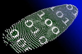 开云体育网页版入口-运动表现评估技术的可靠性与实用性分析，运动表现测试与评估指南