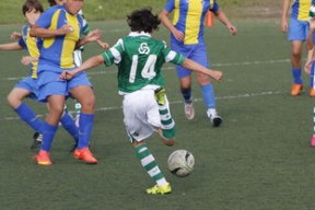 开云备用-体育新闻中心发布体育内容原创度评估智能工具，原创体育sports